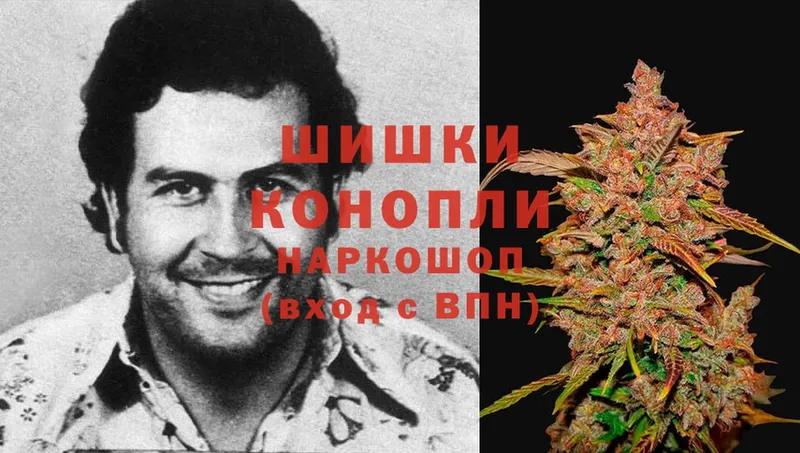 Конопля Ganja  Обоянь 